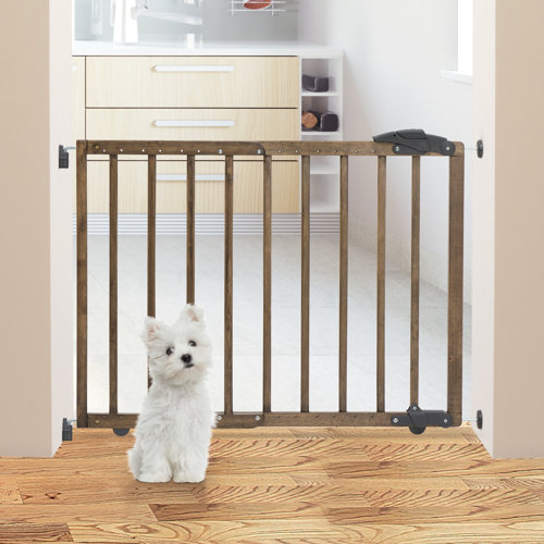 Dreambaby Nottingham Safety Gate & Reviews Wayfair